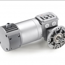 mini motorֱMCE 244PT 300 B5