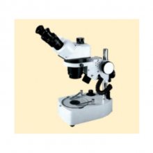 SEIWA OPTICALy@΢RSMJ-5͹W