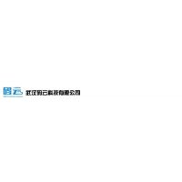 武汉码云科技有限公司