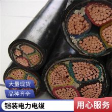低烟无卤交联聚乙烯绝缘铠装电力电缆 绝缘加热电缆