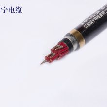 NH KVV22-450/750v 19x2.5  Ƶ