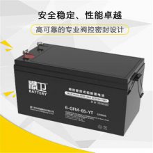 精卫蓄电池6-GFM-17-YT 12V17AH高低压配电柜电磁阀启动电池