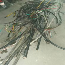 ζ߻գ»գ