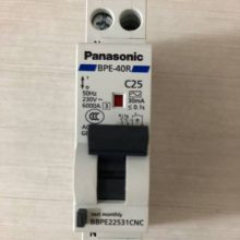 ԭװ Panasonic ©· BJJ23030 2P 30A 30mA