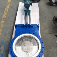 PZ273TC-16C ҺմɵբͳˢմɵբP Z273TC բ DN800 Һբ
