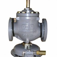 ϣFisher1098-EGR DN50/DN80/DN100ѹȻѹ