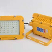 LEDСʷͶ-ӡȾ֧ʽBFD8140-50W̶LED-