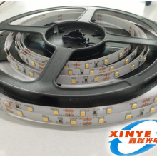  2835LED60/ DC12V8MMֻӦǳֱ