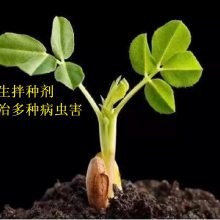 ǼǻּЧͻ溦ּܻ