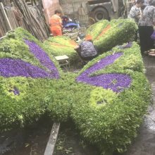 四川大量定制各种规格的仿真蝴蝶工艺品真假都可以