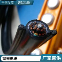 盛启 行车9芯线扁电缆 电动葫芦国标软电缆3*4 6*1.5柔性电缆双钢丝