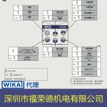 CPH6300 WIKA