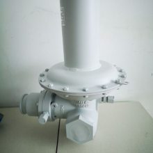 ITRON RBE4011ѹRBE4031ѹRBE4021ѹ