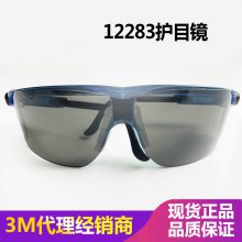3M 12283时尚舒适型防护眼镜(灰色镜片，防雾）