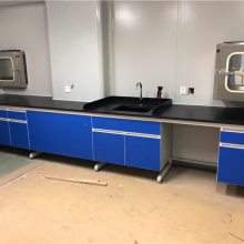 诺尔 NE-SYS-63A 承接微生物实验室规划 实验台非标定制 一站式服务