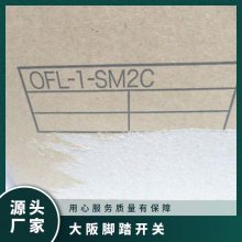 ձOJIDENOFL-1V-S3̤***