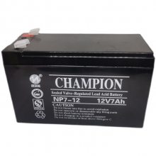 ***NP24-12 12V24AHǦάʽUPS EPSԴʱר