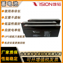 VISIONCP1250HǦά12V5AH佰ϵͳ