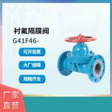 ϸ߹Ӧ G41F46-16C ķĤ DN65 й©WCBֲ