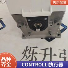 供应意大利CONTROLLI旋转执行器MDL66提供报关单