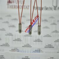 thermikӦS01.110.05.0050.0050¶ȿ
