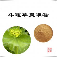 沃特莱斯 斗篷草提取物10:1 浸膏粉 喷雾干燥 多规格可定制