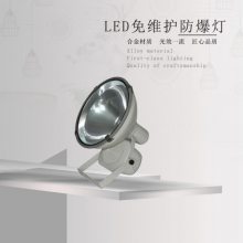 LED СLED ZT6900(C)LED