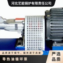 导热油循环工业用泵RY 艺能 电动 单吸式 运行成本低