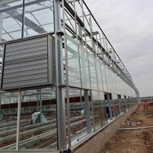 昱泰 蔬菜种植大棚 玻璃连栋温室建设 YTWSWL2040A