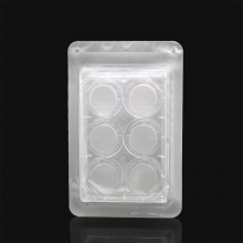 LABSELECT 14151 细胞培养小室，含6孔板（PC膜，24mm，孔径1.0um)
