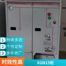   XGN15-12 10KVع ӹ