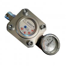 ZGS-6�Ϳ��ø�ѹˮ�� �������� ʹ�ð�ȫ ���ø�ѹˮ��