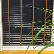 �綯����Ҷ�� ������ ���ⴰ�� ������Ҷ������ �Ϻ���������