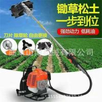 ��԰��������ĳ屳��ʽ���ػ� ��԰������е���ݻ�ɽ������