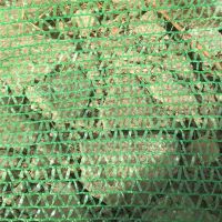 塑料盖土网 建筑防尘 农用遮阳网