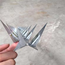 СΧǽ ̶ Χ