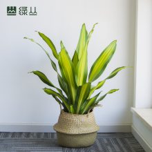 ֲ 人ֲԽҲÿɫ