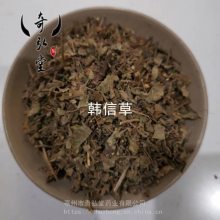 野生大力草的功效与用法