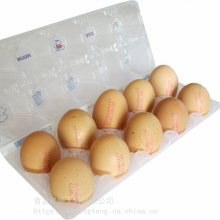 铭腾喜多力5200鸡蛋喷码机 蛋品行业小字符打码机