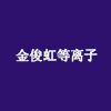 上海茂虹等离子技术有限公司