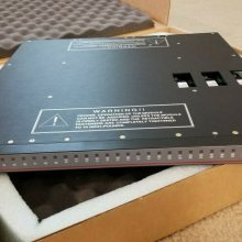 TRICONEX 3700A DCSϵͳ4101 ֻ