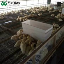 供应万兴畜牧鸭料箱规格