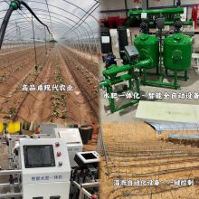 滴灌施肥机多功能水肥一体机 农用灌溉过滤器智慧灌溉系统