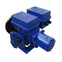 AS-25/K/F BS-60/K/F A+RS100/K/F 电动式执行器 阀门电动装置