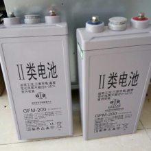˫GFM-1000/2V1000AH