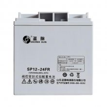 ʥSP12-24ܷʽ12V24AH UPS/EPSԴר