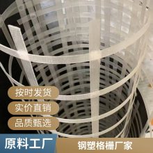 世杰 锁扣式 钢塑土工格栅 沥青路面增强路基省时省力