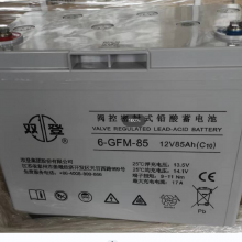 ˫6-GFM-85(C20)12V8***Hʽܱ