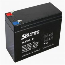 ʥ6-GFM-65Ǧά12V6***HӦõ