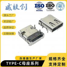 type-cĸ 24Pǰ ˮȦTYPEC 3.1USBĸ
